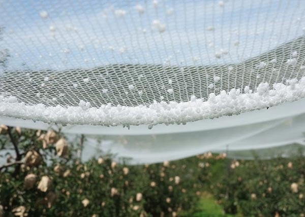 Anti Hail Netting for Orchard