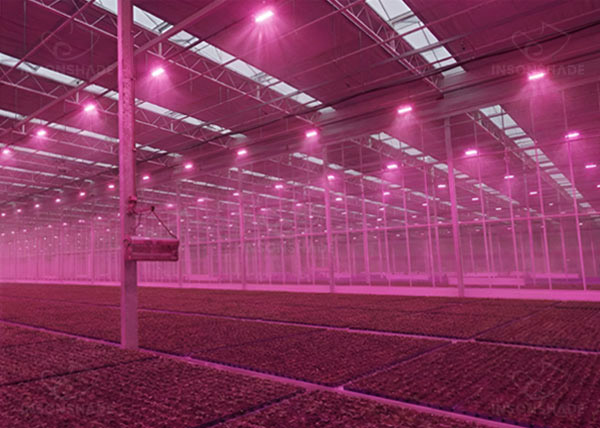 Greenhouse Blackout & Photoperiod Management