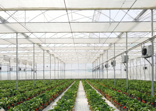 Greenhouse Light Diffusion Curtains