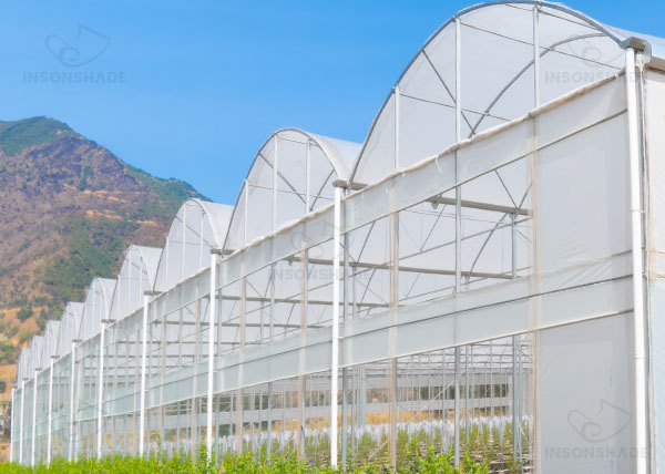 Greenhouse Ventilation Insect Protection Netting