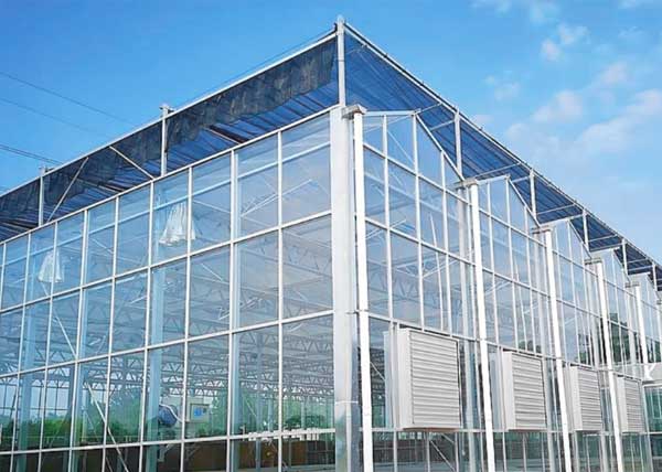 Black shade curtains installed on greenhouse top