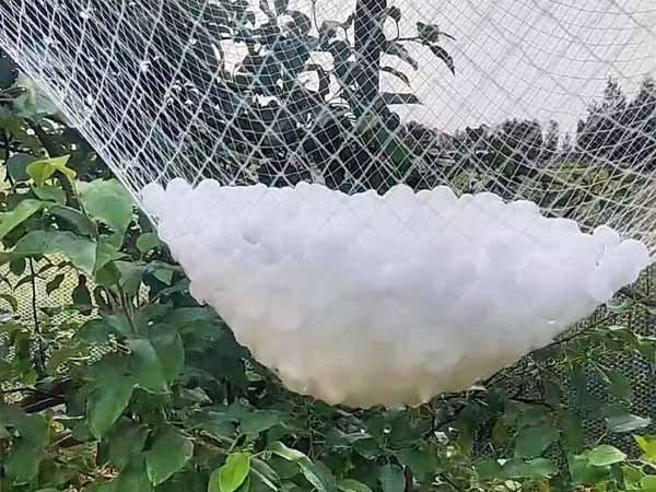 Hail netting