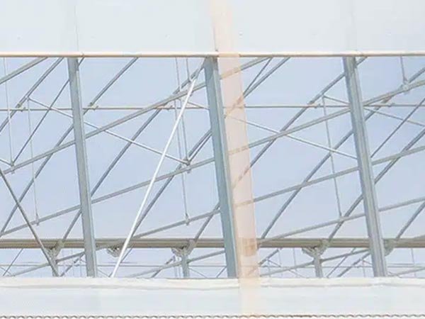 Insect netting installed on the side vent of a greenhouse