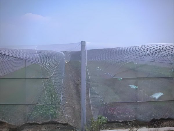 Insect netting