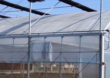 Motorized roll-up side curtains