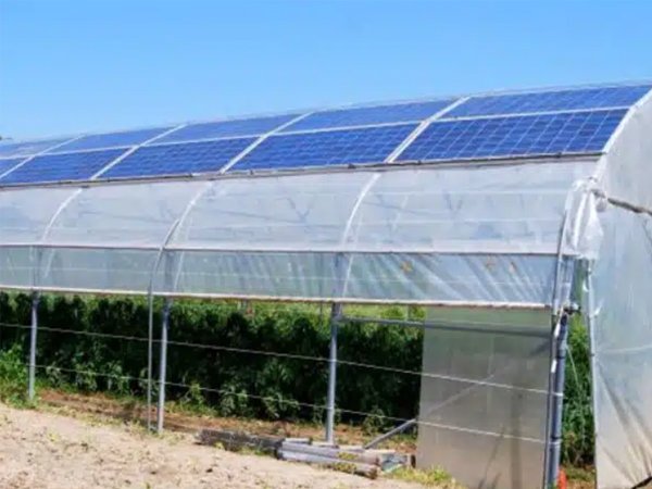 Roll-up side curtain system for polytunnel