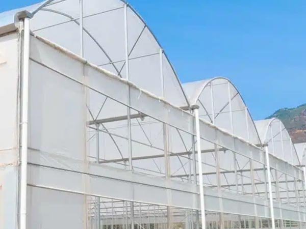 poly greenhouse with side curtains