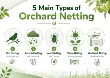 Orchard netting typesv