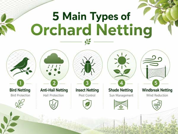 Orchard netting typesv