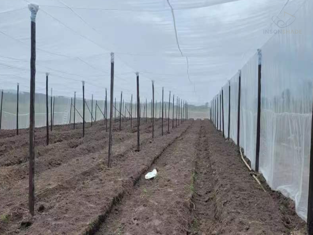 Large anti-insect net house structure for commercial vegetable production in Nigeria