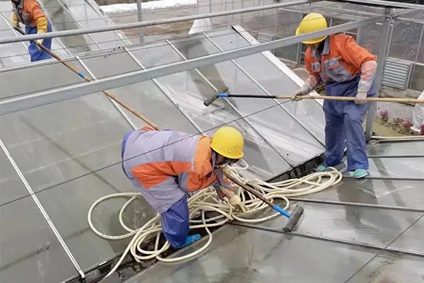 Workers cleaning the interior surface of a glass greenhouse roof